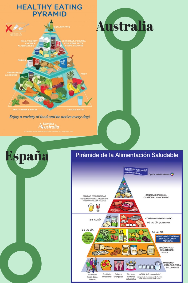 piramide alimenticia